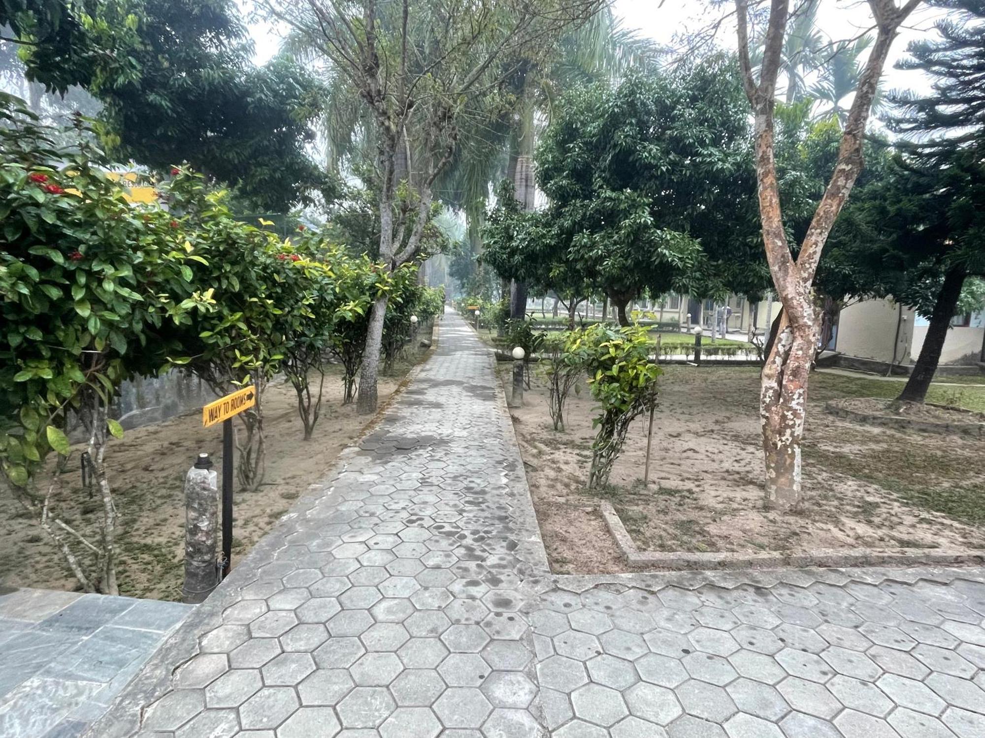 Chitwan Riverside Resort Sauraha Extérieur photo