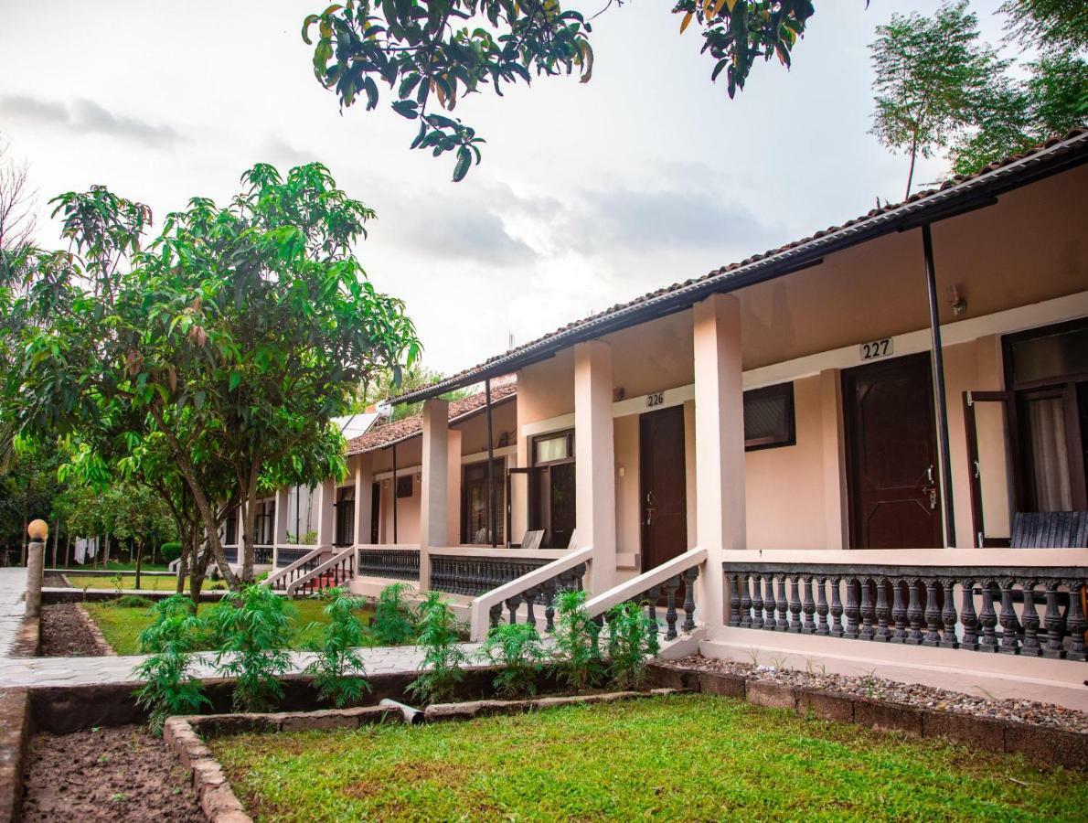 Chitwan Riverside Resort Sauraha Extérieur photo