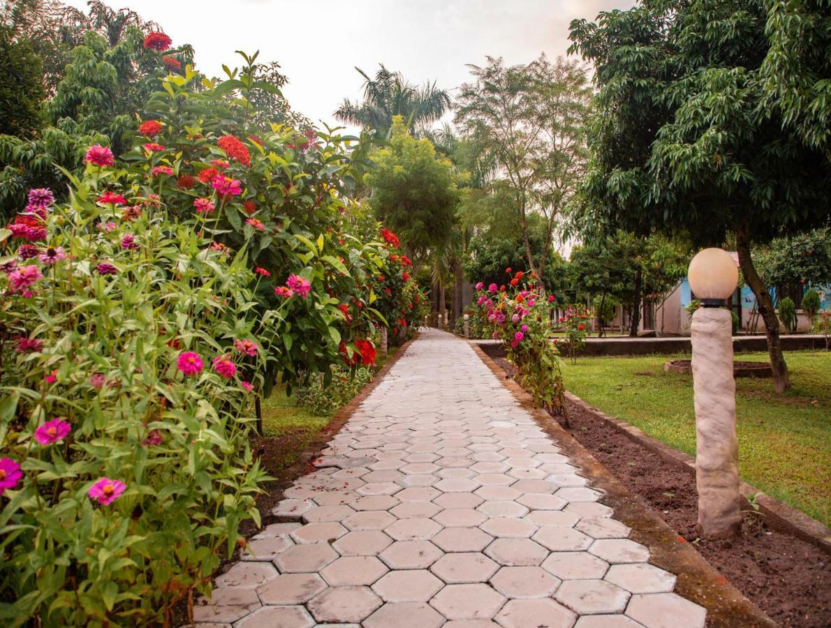 Chitwan Riverside Resort Sauraha Extérieur photo