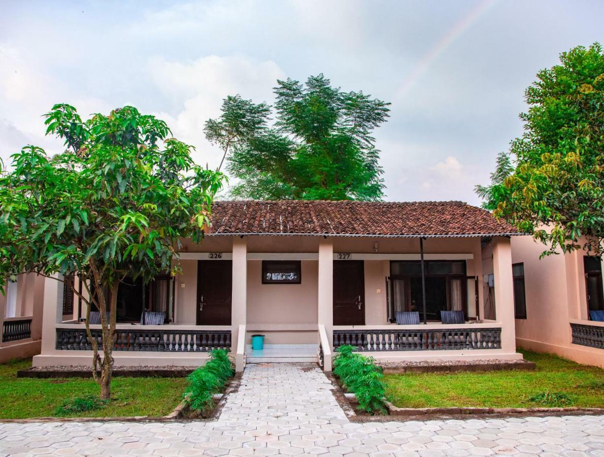 Chitwan Riverside Resort Sauraha Extérieur photo