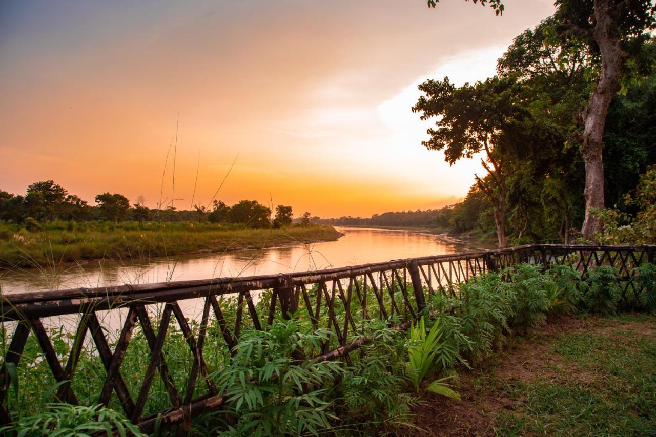 Chitwan Riverside Resort Sauraha Extérieur photo