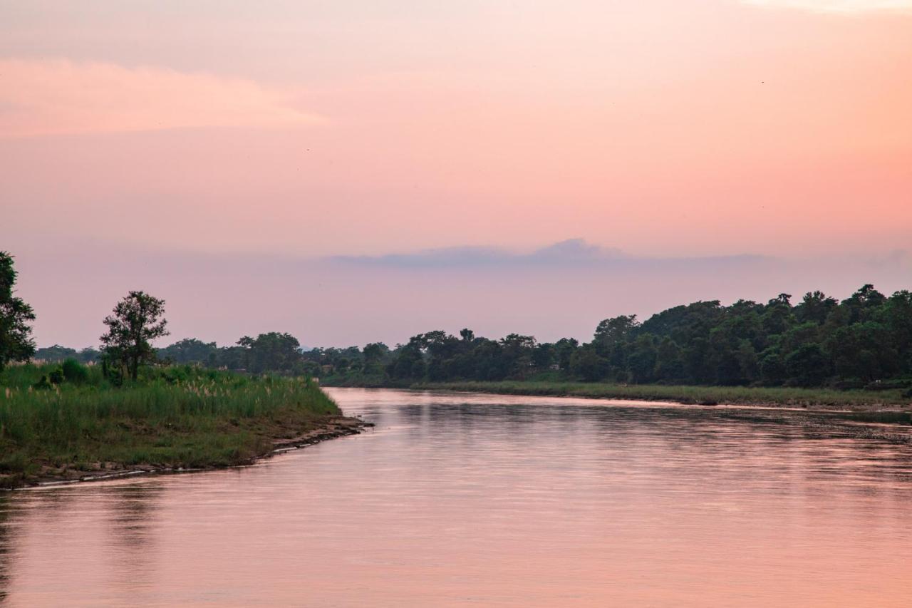 Chitwan Riverside Resort Sauraha Extérieur photo