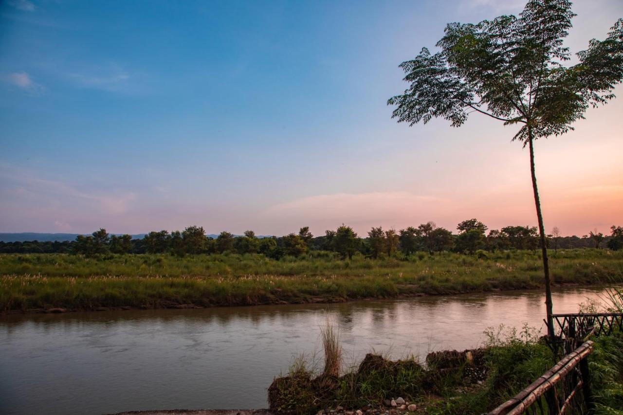 Chitwan Riverside Resort Sauraha Extérieur photo